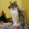 Отзыв от Инесса Смирнова